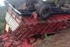 ग्यास सिलिन्डर बोकेको ट्रक सडकबाट तल खस्दा, ३ जनाको मृत्यु